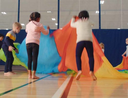 YMCA NL to Act as Not-For-Profit Operator of Pre-Kindergarten Pilot Locations
